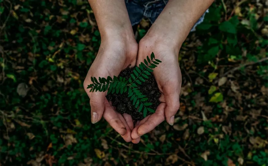 home-page-sustainability