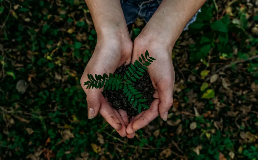 home-page-sustainability